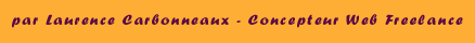 lca, concepteur web freelance